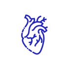 心脏专科-Cardiology